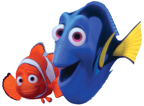 Nemo with adult fish