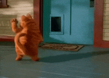 Garfield Dancing animated GIF