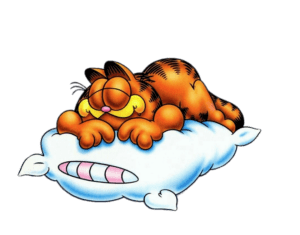 Garfield sleeping on pillow