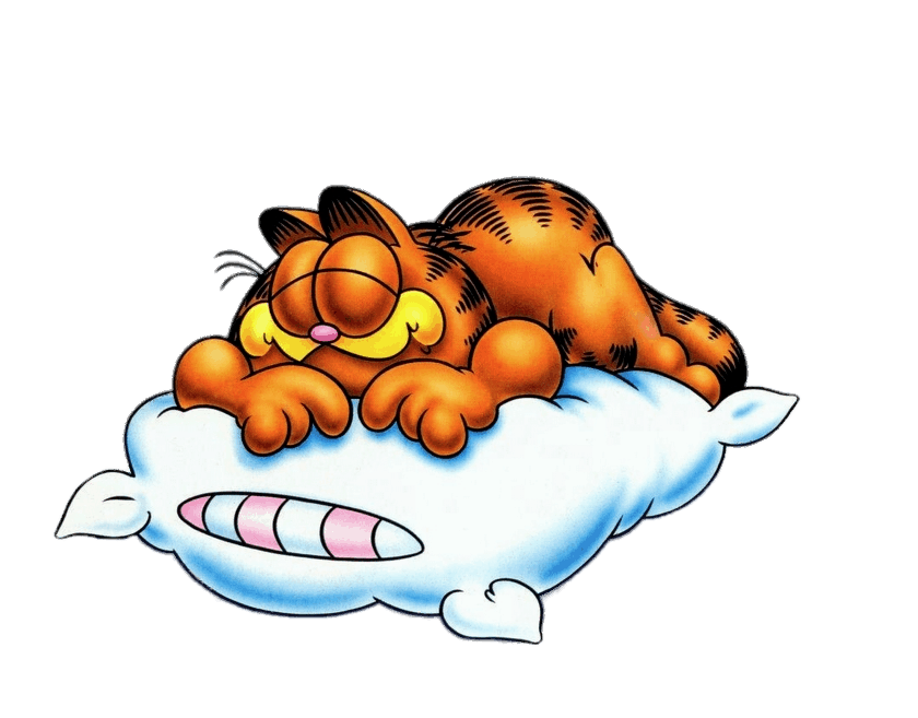 Garfield sleeping on pillow PNG Image
