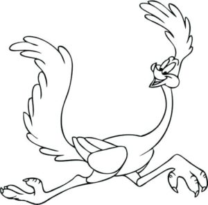 Road Runner Colouring page