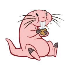 Rufus eating cookie PNG Image