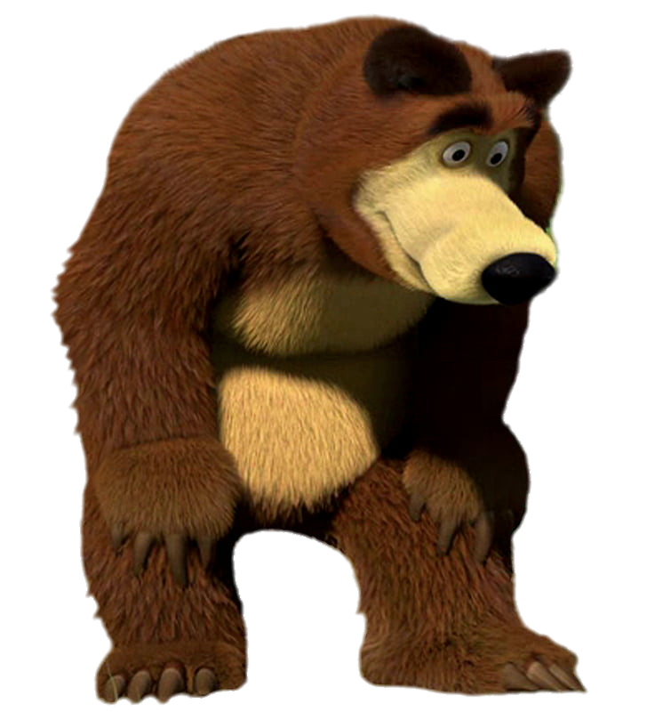 The Bear looking down PNG Image