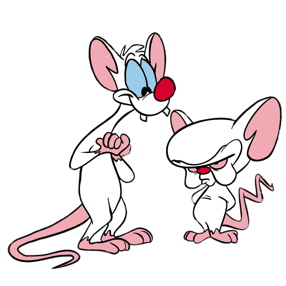 Pinky and The Brain.