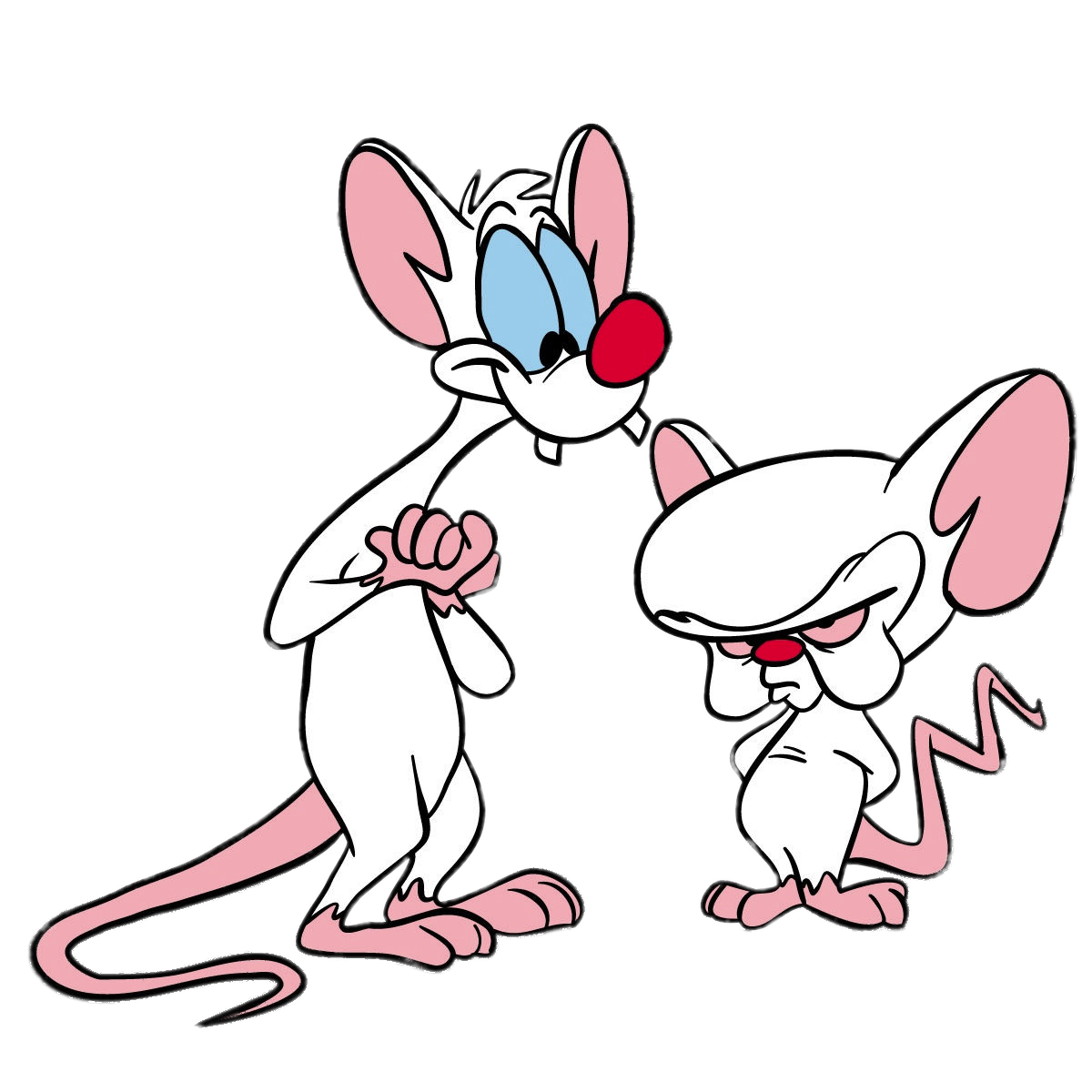 Pinky And The Brain png images