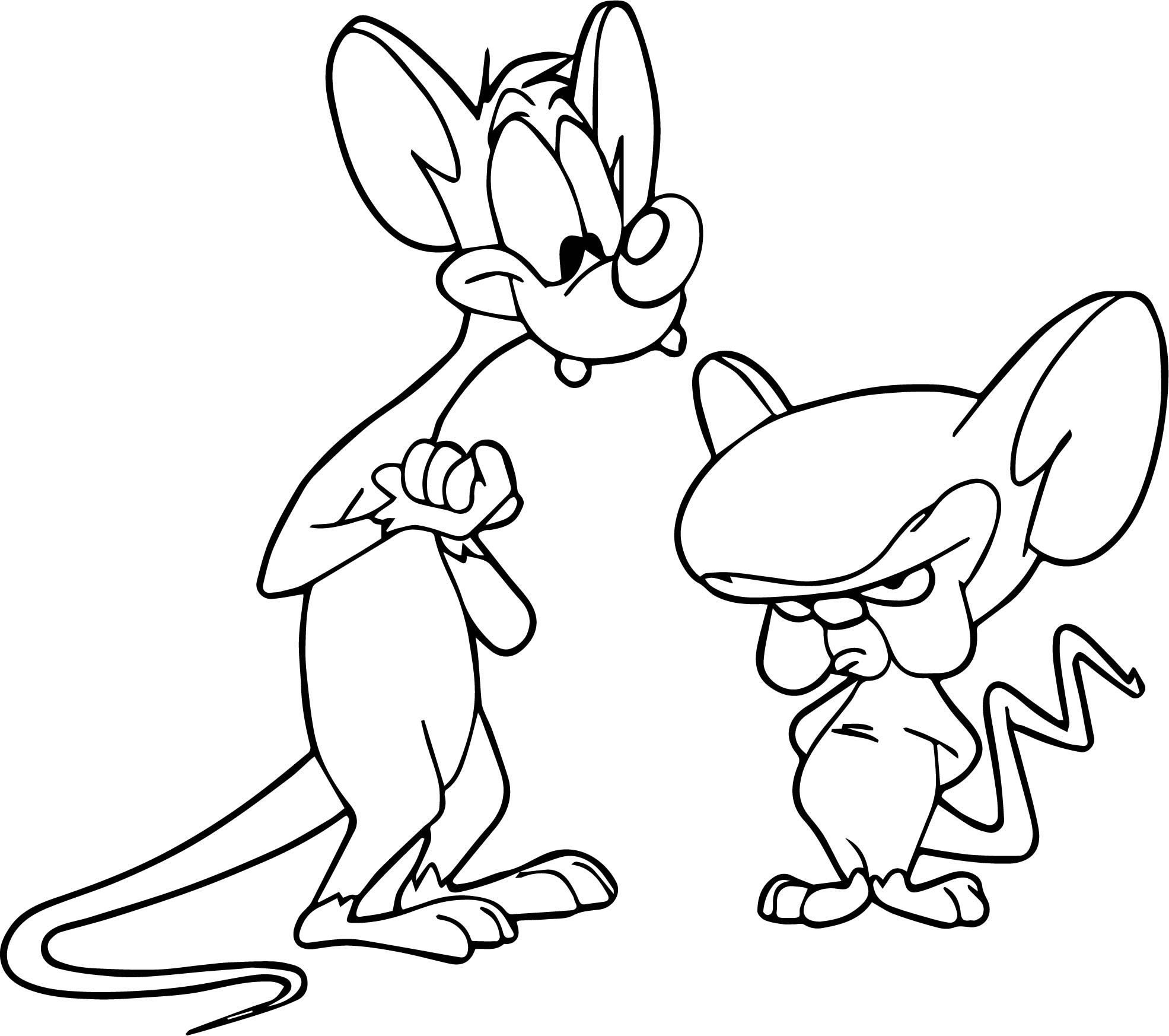Pinky And The Brain Colouring Page