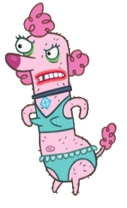 Almost Naked Animals Angry Poodle