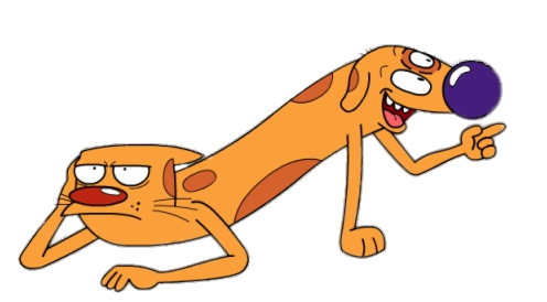 Check out this transparent Catdog Cat not amused PNG image