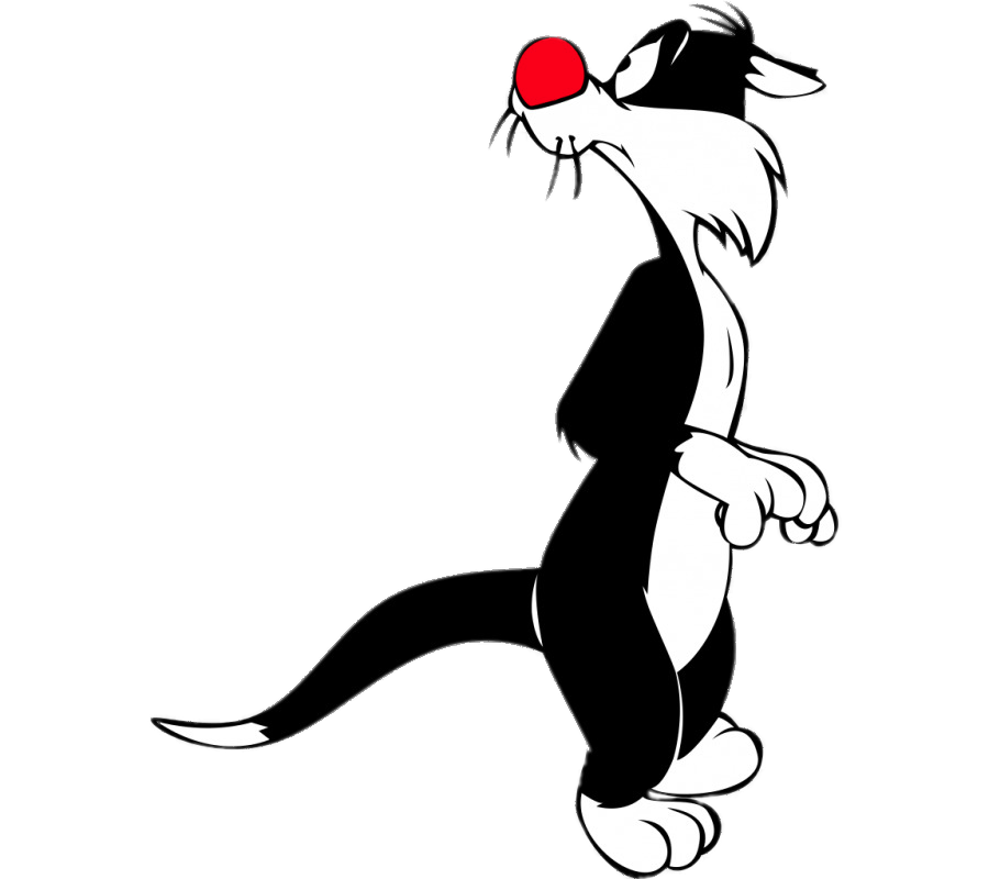 sylvester kedi