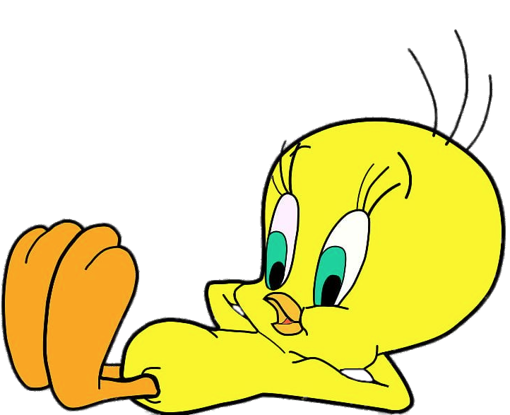 Tweety Pie resting