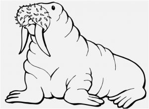mustache coloring pages Design Free Printable Walrus Coloring Pages For Kids