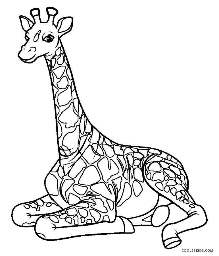 Download Willas giraffe colouring image