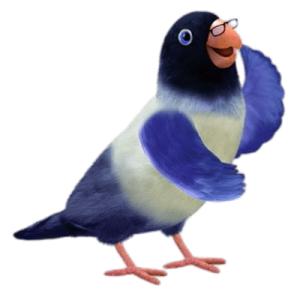 3rd Bird Mr Lovebird