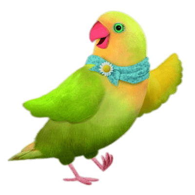 3rd Bird Mrs Lovebird