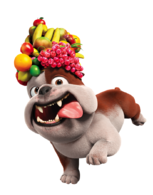 Luiz the Bulldog with fruit hat