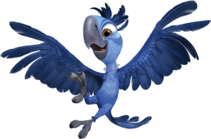 Tiago the young Spixs Macaw