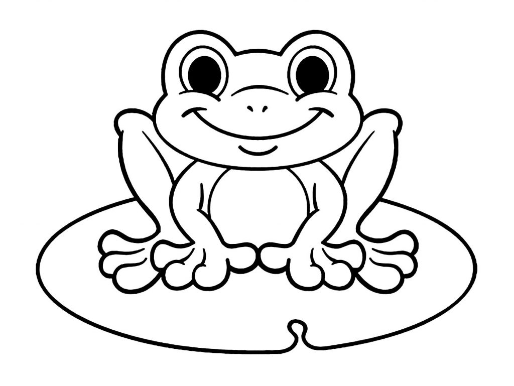 Amphibia Frog