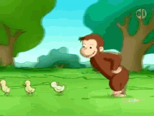 Curious George playing with ducklings