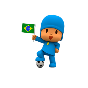 Pocoy Brazilian flag