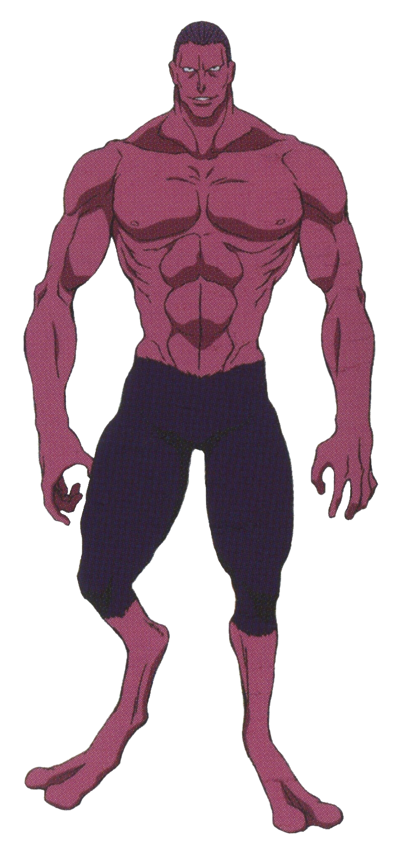 Hunter x Hunter Menthuthuyoupi