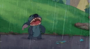 Stitch doesnt like rain