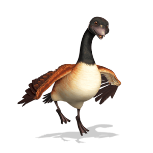 Franklin and Friends character Goose