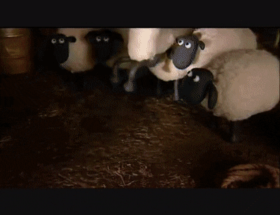Shaun the Sheep – Good Morning