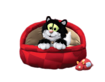Guess with Jess Cat Bed