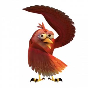 The Owl Co The Sparrow