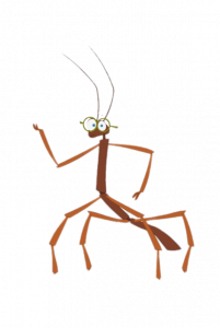 Atchoo Teo the Stick Insect