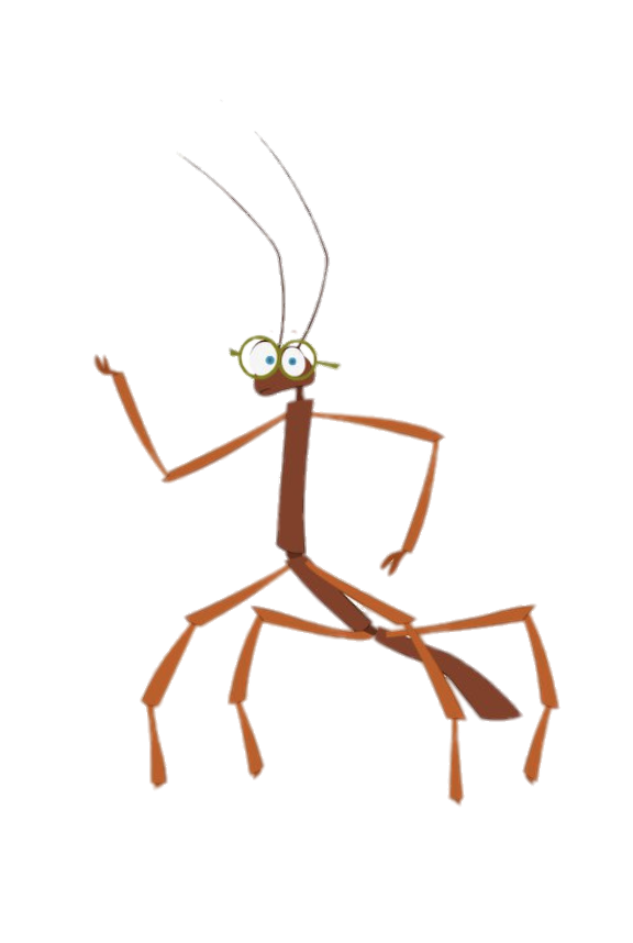 Atchoo – Teo the Stick Insect