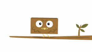 Big Block Singsong Owl on a branch