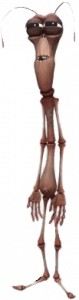 Larva Ivory the stick bug