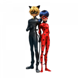 Ladybug Cat Noir Team