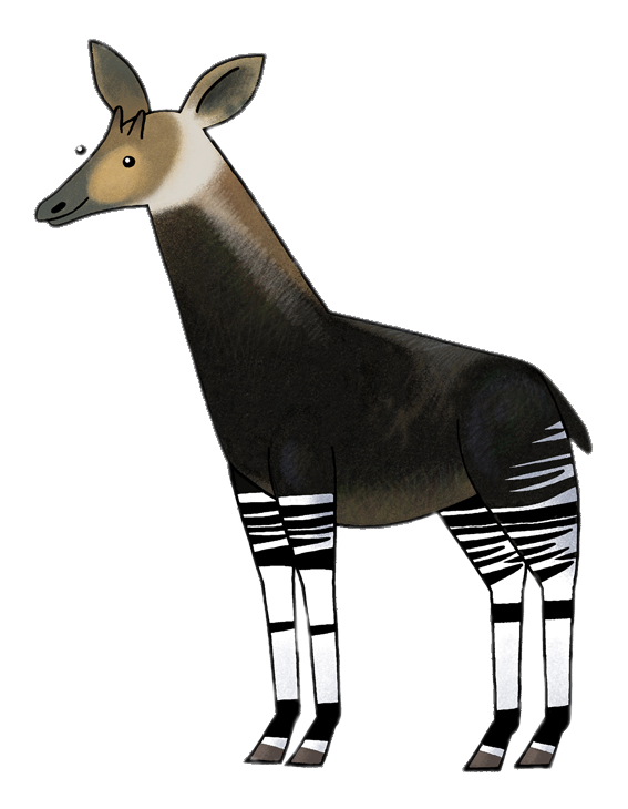 Mama Mirabelle – Okapi