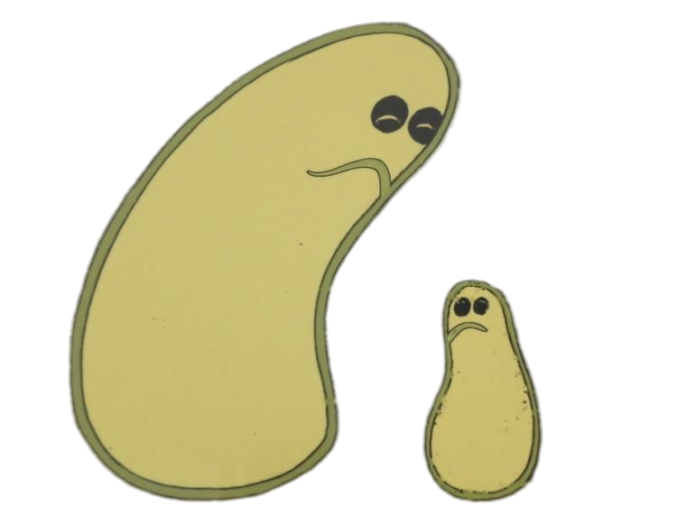 Check out this transparent The Herculoids - Gloop and Gleep PNG image.