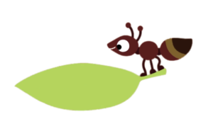 Animanimals Ant