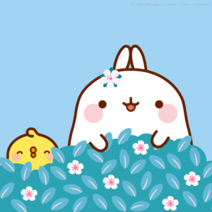 Molang