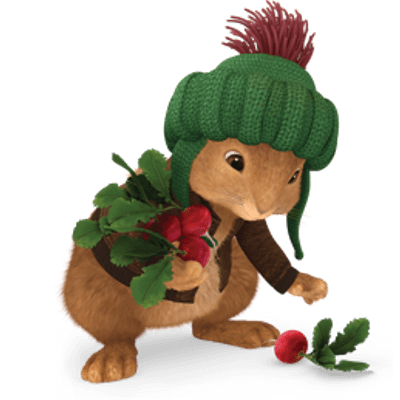 Peter Rabbit – Benjamin loves radishes