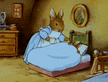 Peter Rabbit Time for Bed