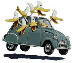 Sitting Ducks Ducks in a car