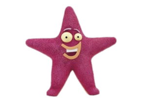 Rubbadubbers Sploshy the Starfish