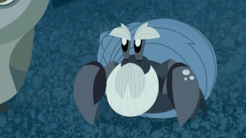 Puffin Rock – Hermit Crab