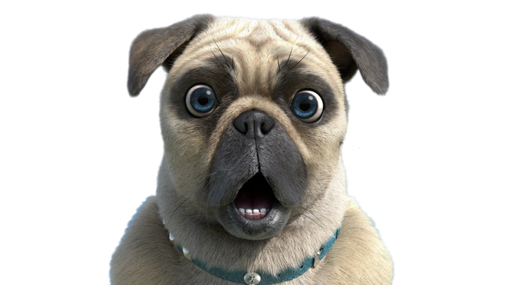 Mighty Mike – Mike the Pug – PNG Image