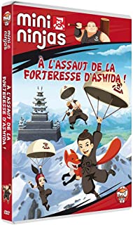 Mini Ninjas – DVD French