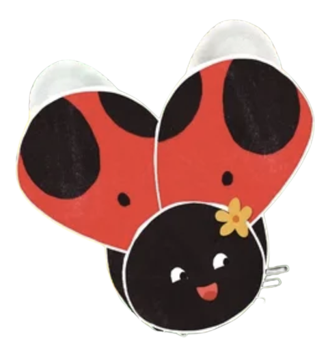 Ladybird & Bee – Happy Ladybird
