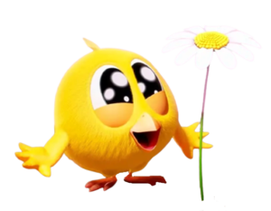 Where is Chicky Flower