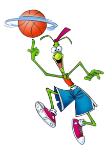 Basket Fever Hooper