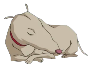 Code Lyoko Kiwi