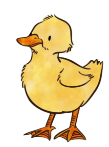Guess How Much I Love You Duckling
